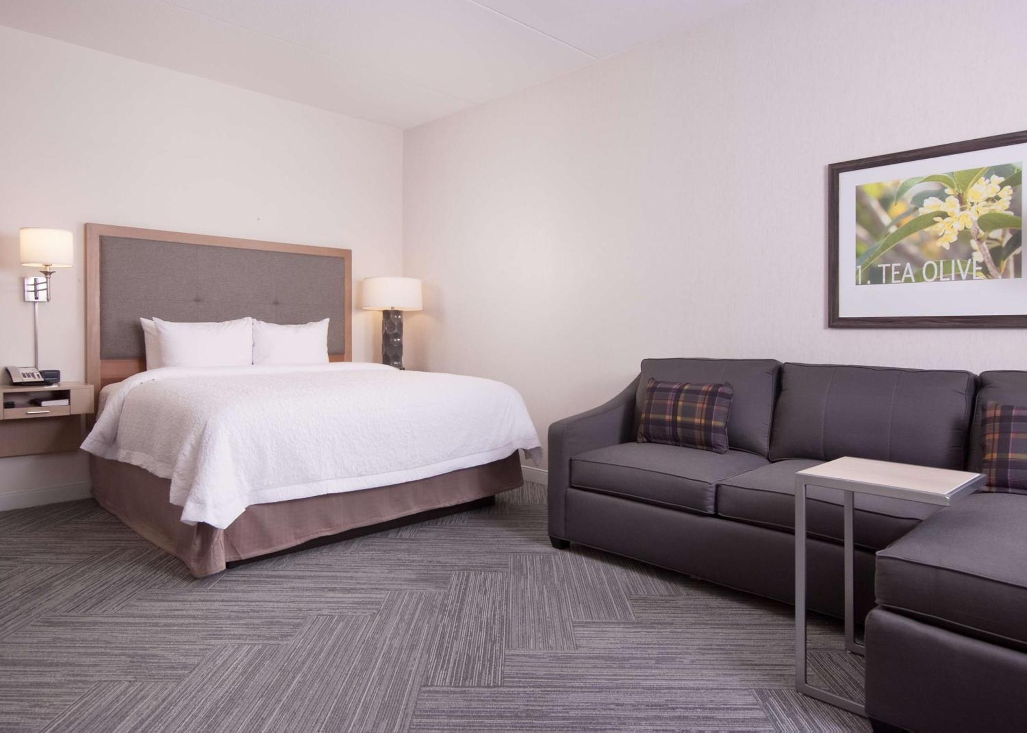 Hampton Inn & Suites By Hilton Augusta-Washington Rd Kültér fotó